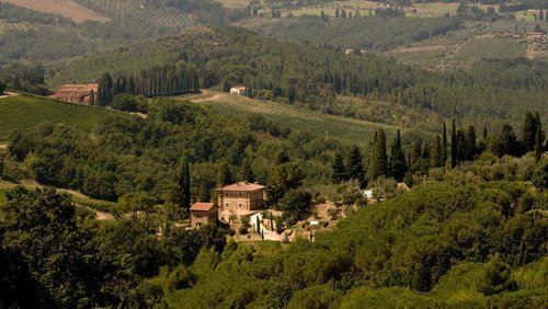Agriturismo tra oliveti e vigne a soli 12 Km da Firenze - Bagno a Ripoli