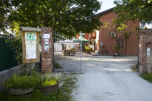 Le Oche Selvatiche - Pavia di Udine