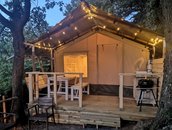 Lodge Tent Ginestra 16 mq - Agritourisme Fattoria La Prugnola