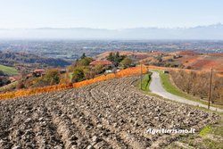 Agriturismo Bevione - Farigliano (Cuneo)