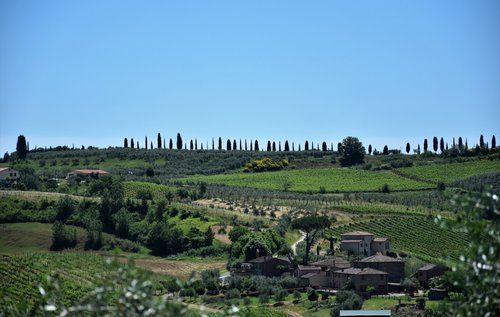 Agriturismo San Gimignano : Farmhouse and best Agritourism in San Gimignano