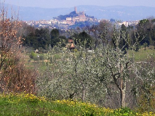 Agriturismo Santa Barbara Country House San Miniato - La Serra (Pisa ...