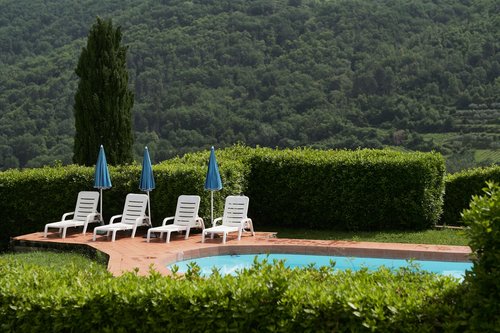 Agriturismo Greve in Chianti - Farmhouse and agritourism in Greve in