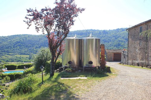 Agriturismo Greve in Chianti - Farmhouse and agritourism in Greve in