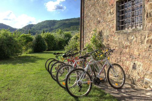 Bauernhof Casavecchia Figline E Incisa Valdarno - Figline Valdarno ...