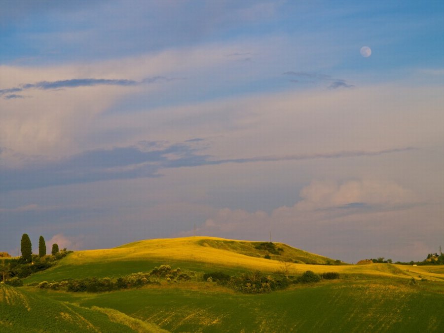 Agriturismo Montaperti Siena - (Siena) - Tuscany