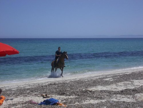 Agriturismo Ezzi Mannu A Stintino Sassari Sardegna