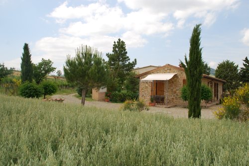 Agriturismo Podere San Marcello Castiglione D'Orcia - (Siena) - Tuscany