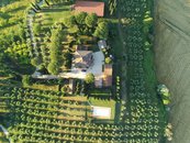 Villa con appartamenti, cucina comune e salone conviviale - Agritourisme Podere Tresa