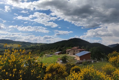 Buon Vento - Gubbio