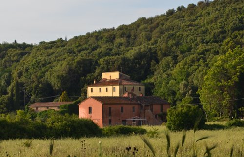 La Muccaia - Massa Marittima