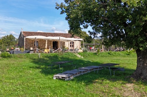 Tenuta Ardisani - Casal Velino