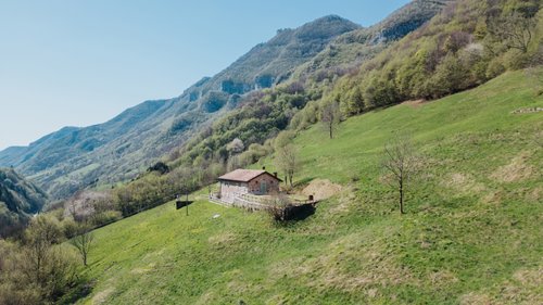 Angelino - Selva di Progno